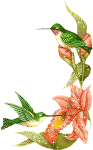 壁纸 花 桌面 186_300 gif 动态图 动图